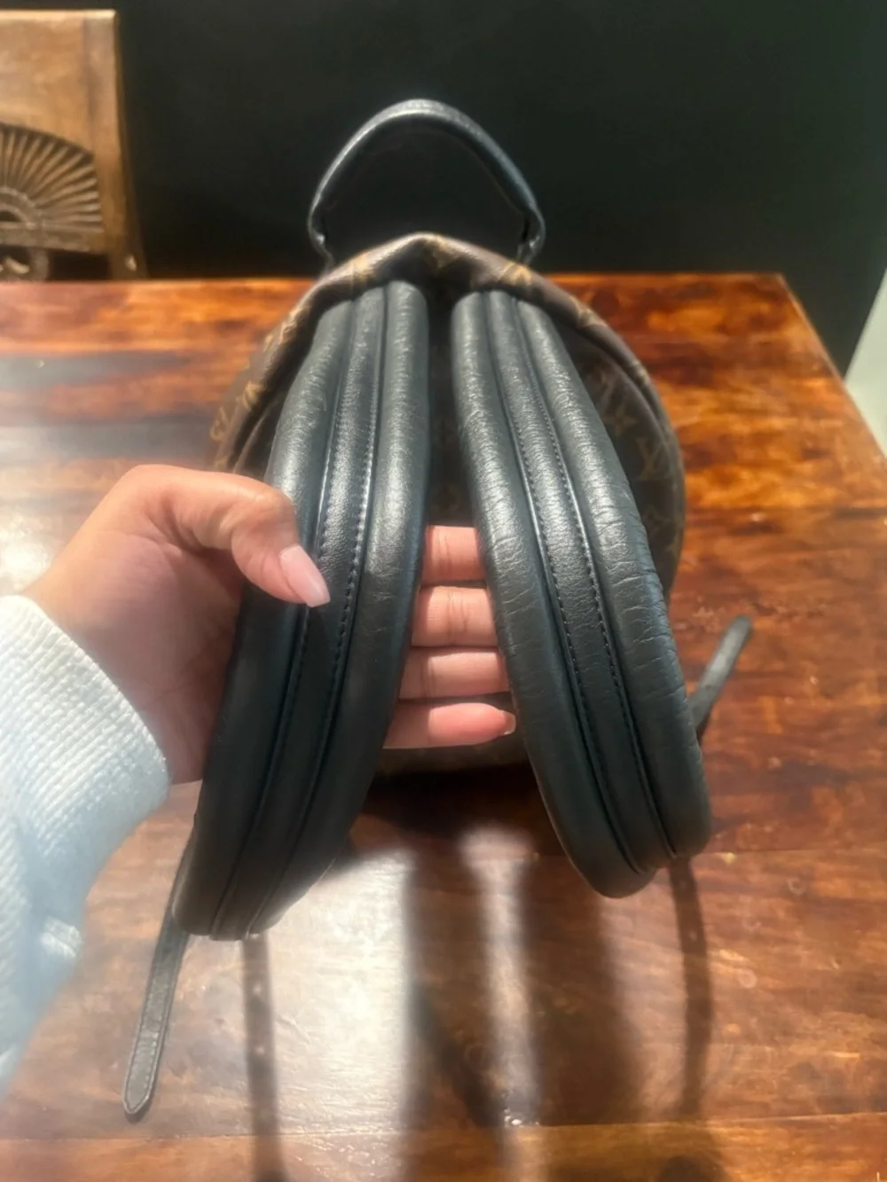 Louis Vuitton Palm Spring  Mini Backpack MM - Picture 5 of 14